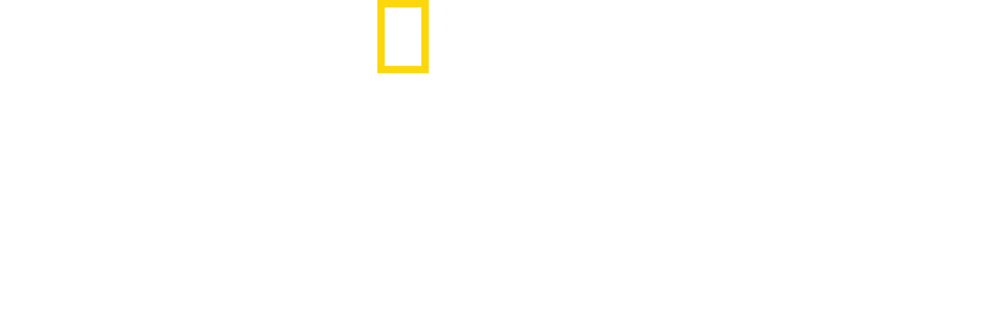 죠스 vs 보트