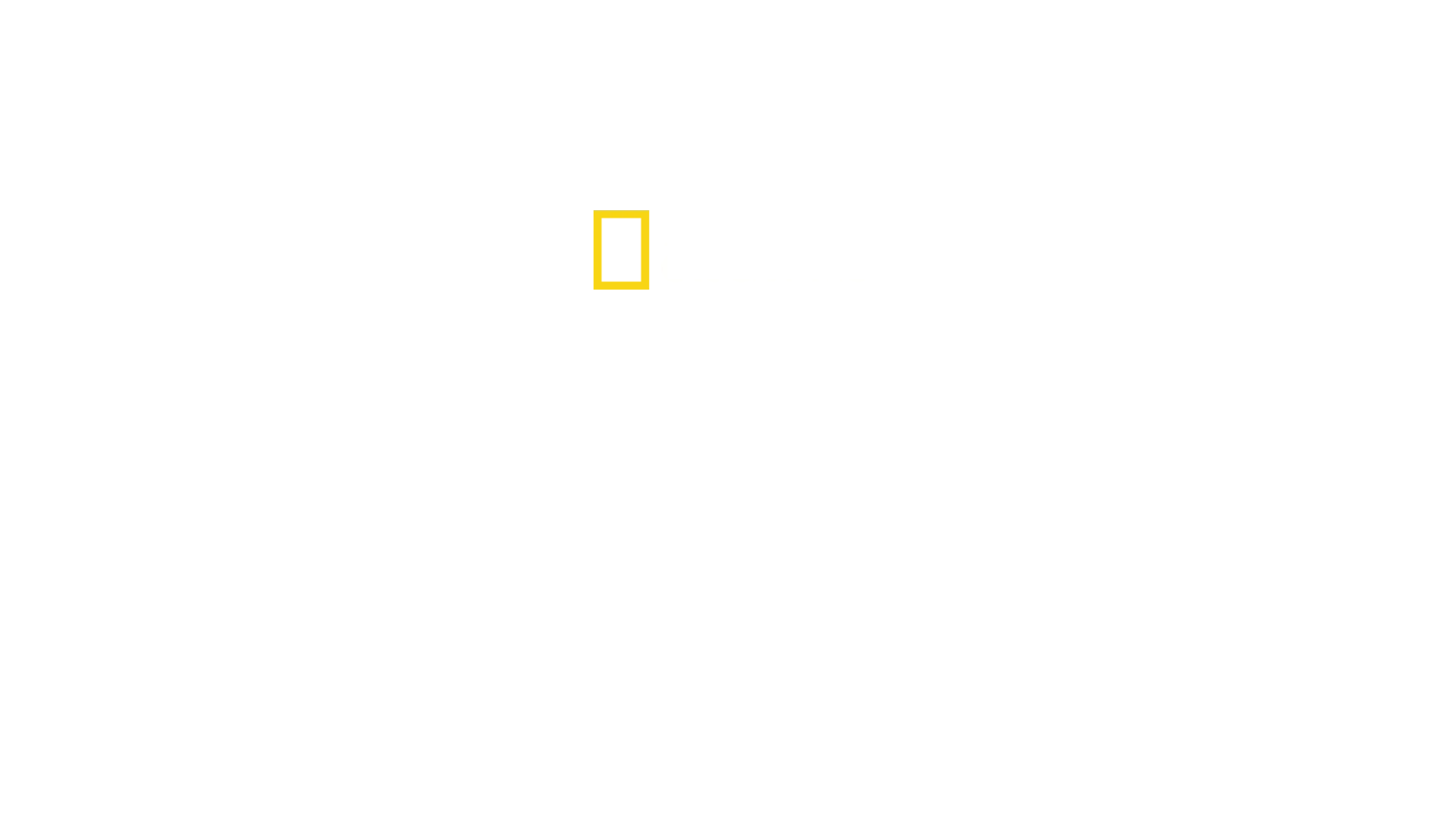 解明！グレート・ホワイトの謎