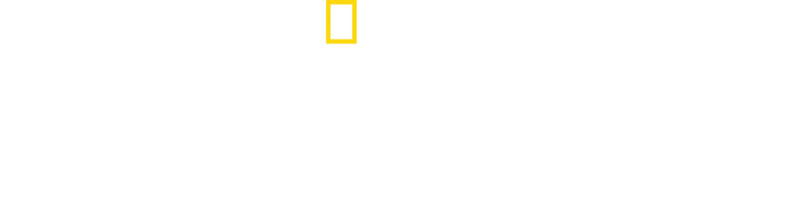 解明！グレート・ホワイトの謎