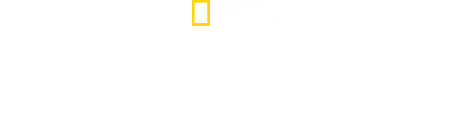 解明！グレート・ホワイトの謎