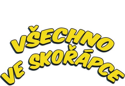 Všechno ve skořápce
