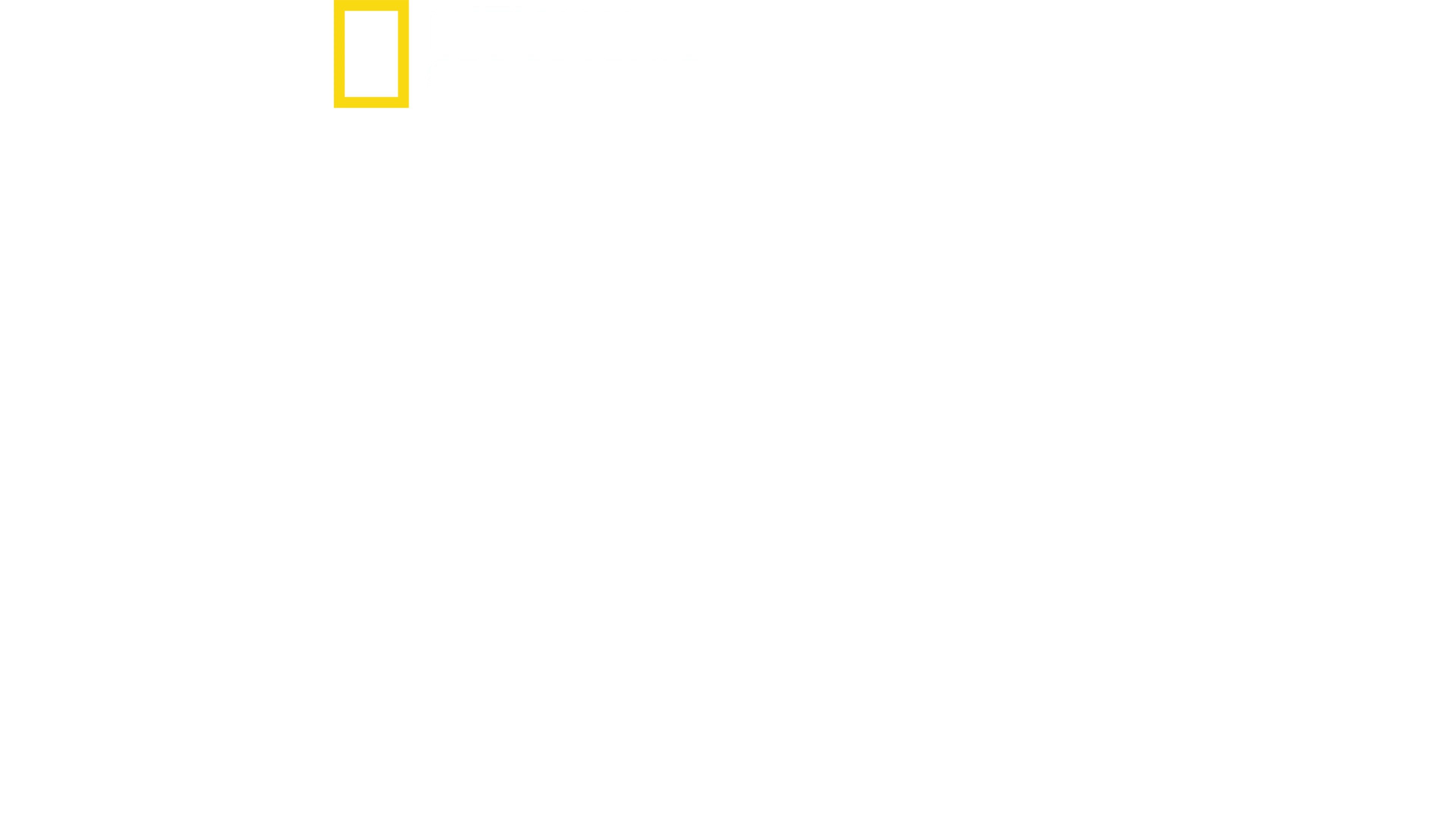범고래 vs 백상아리