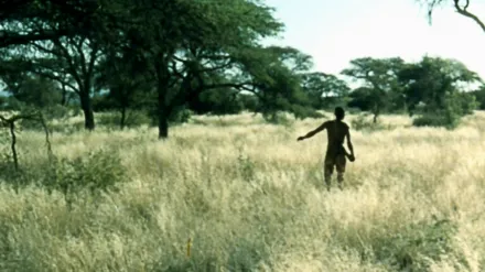 The Gods Must Be Crazy II