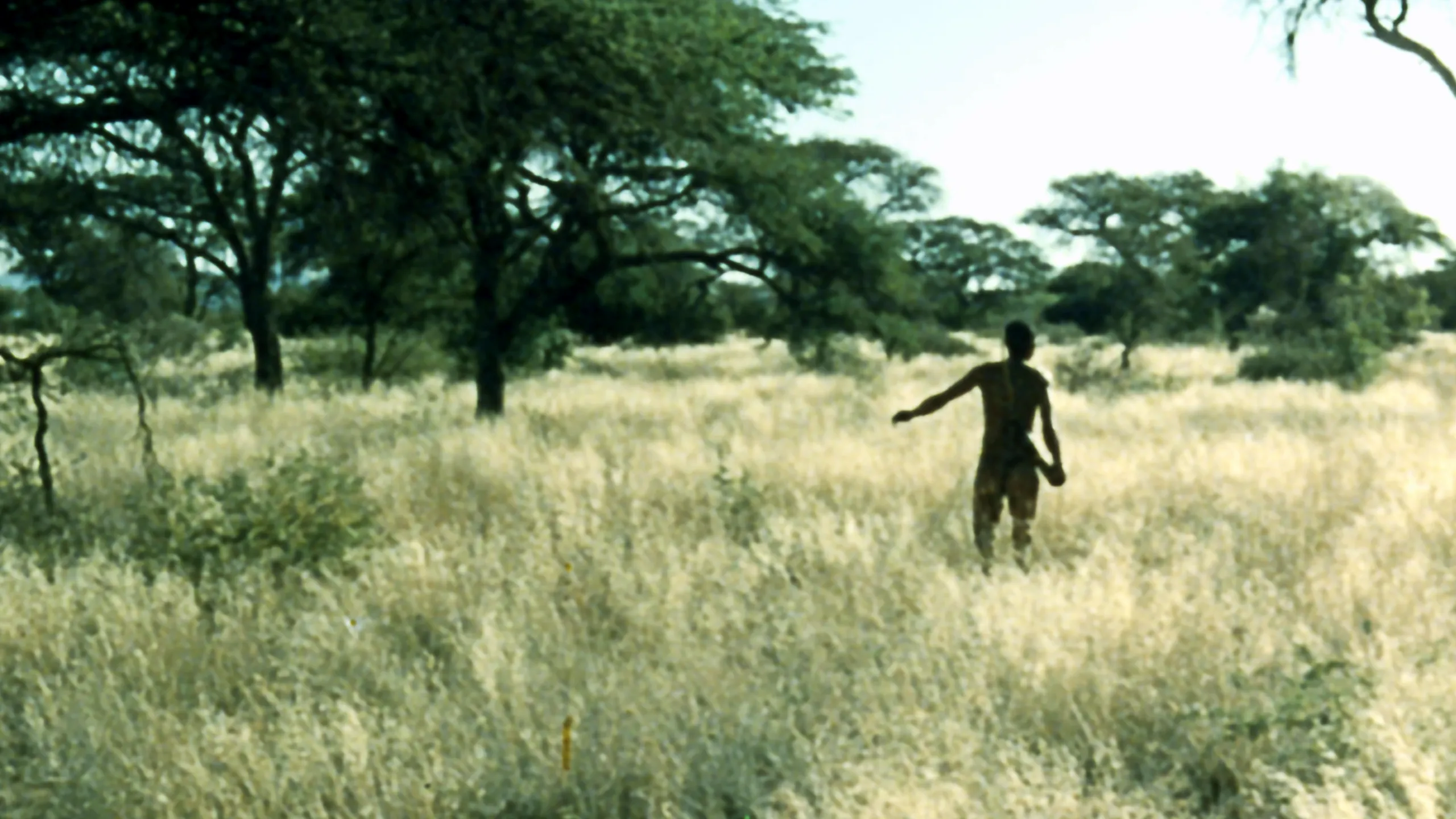 The Gods Must Be Crazy II