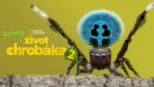 thumbnail - Skutočný život chrobáka