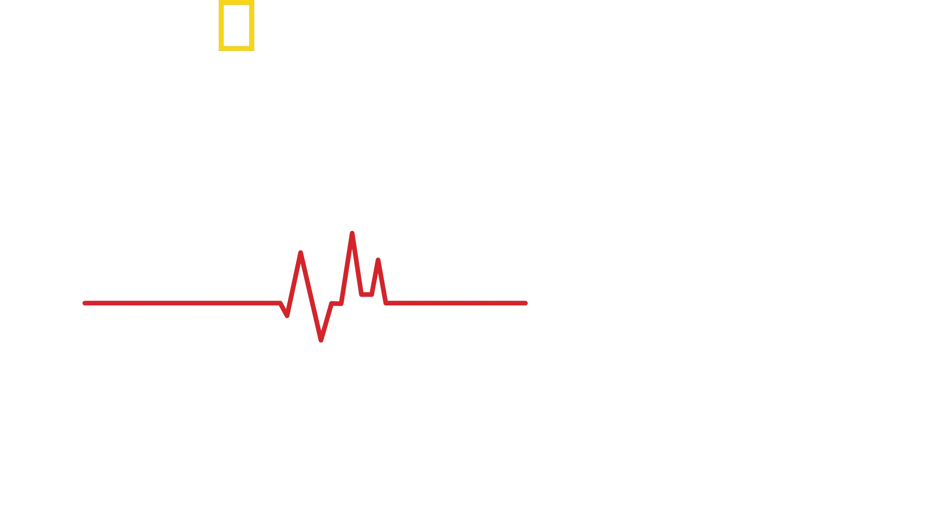 Return From The Dead