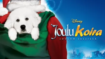 Joulukoira joulun jäljillä