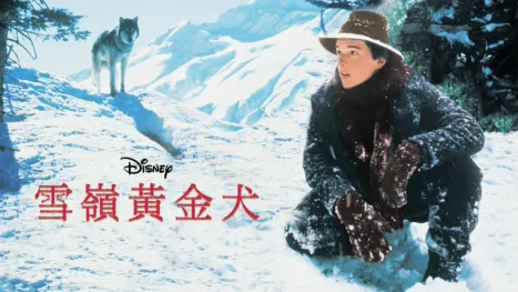 thumbnail - 雪嶺黃金犬