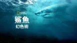 thumbnail - 鯊魚幻色術