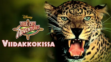 thumbnail - Viidakkokissa