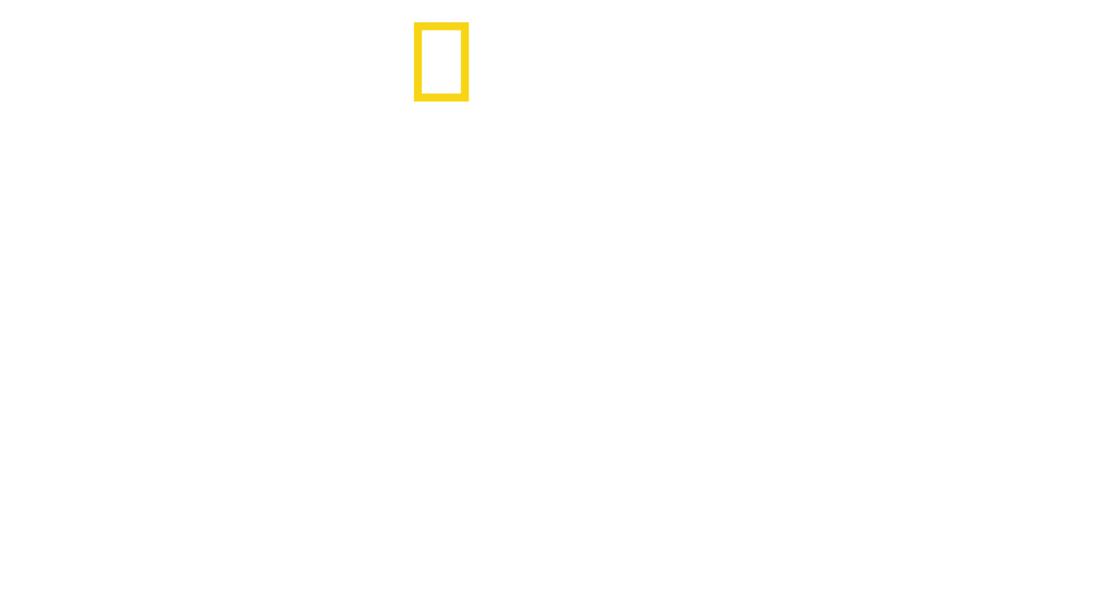 鯊魚海豚浴血戰