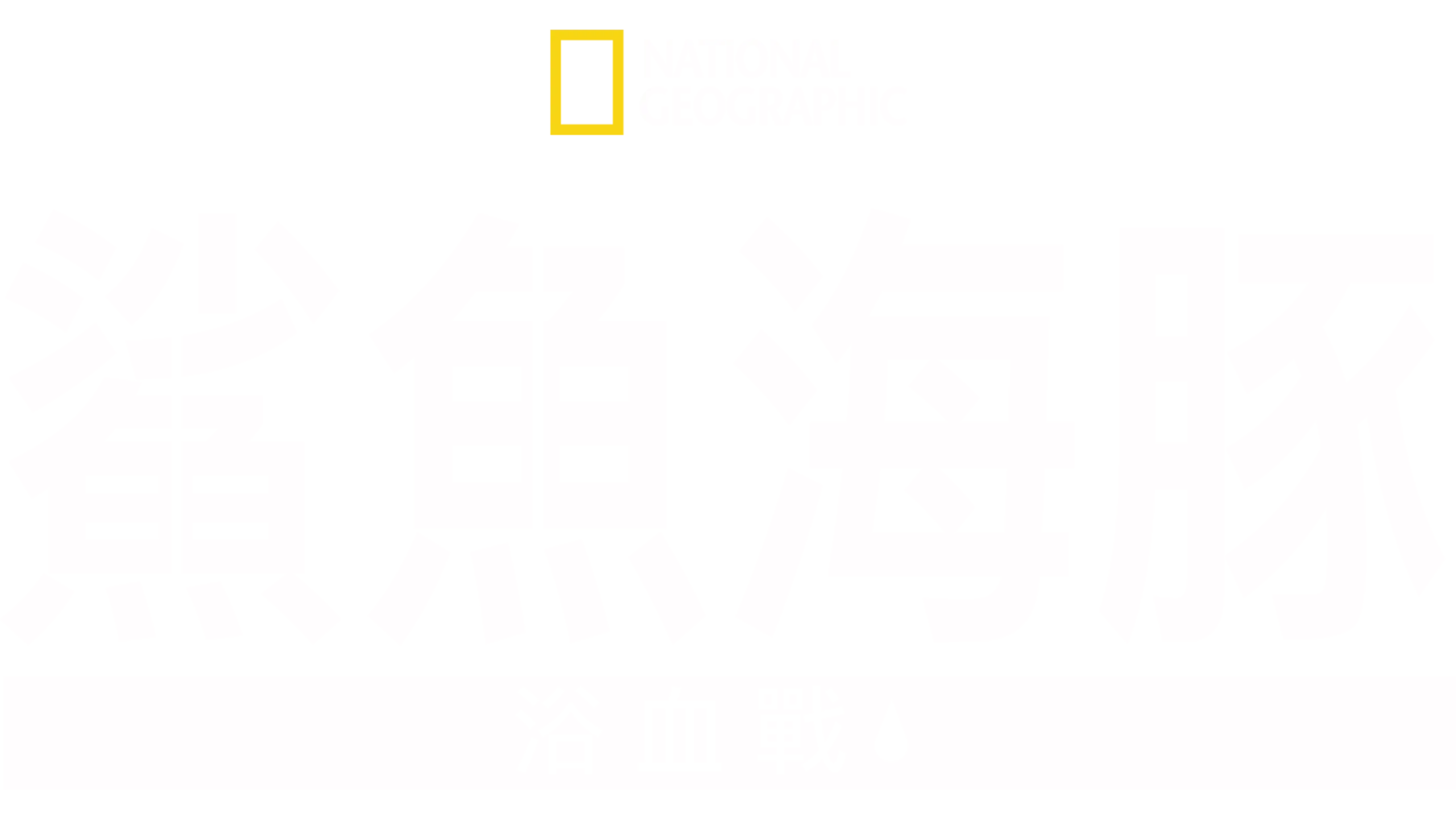 鯊魚海豚浴血戰