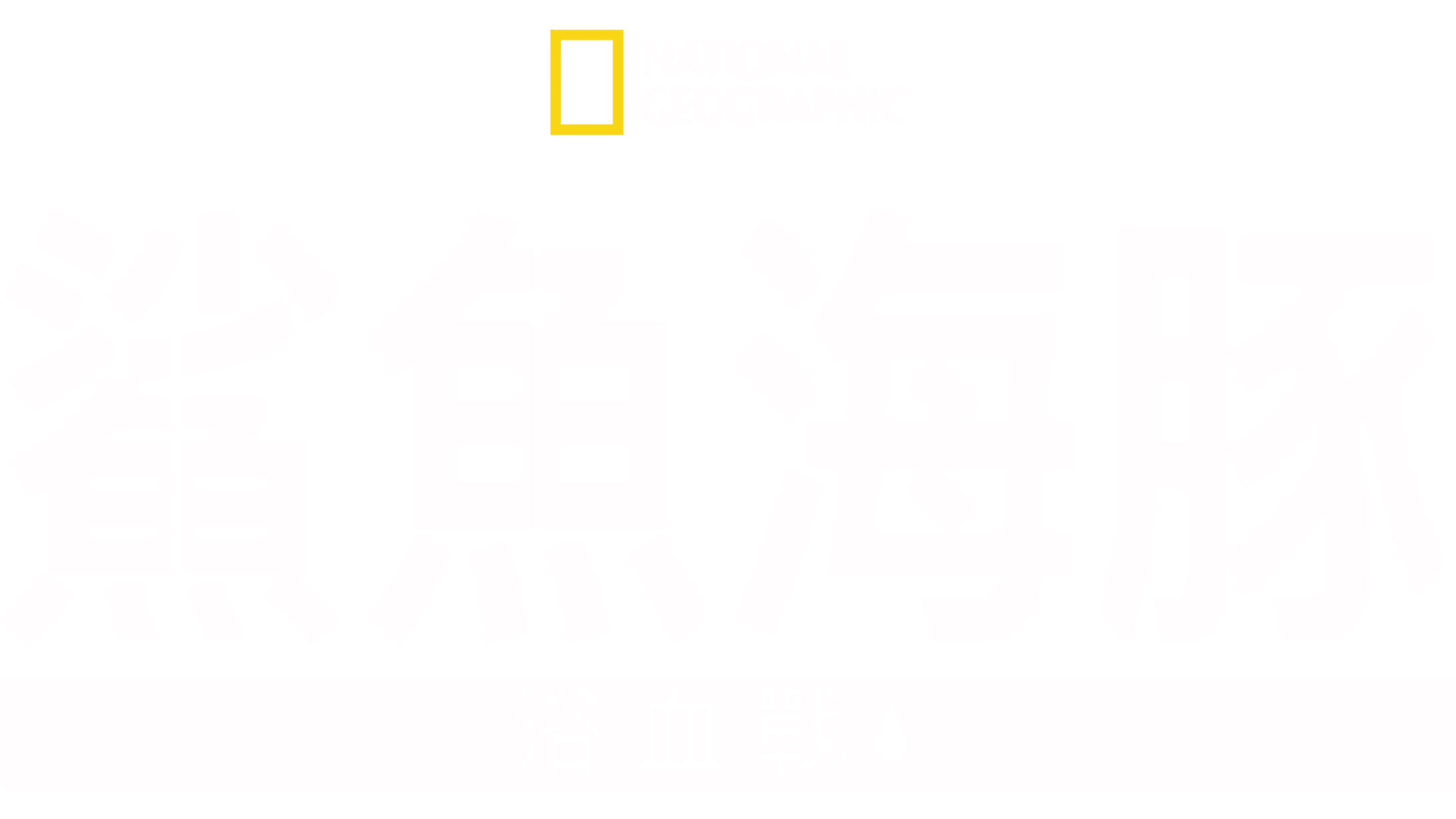 鯊魚海豚浴血戰