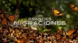 thumbnail - Grandes Migraciones