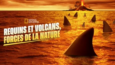 Requins et volcans, forces de la nature