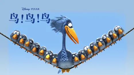 thumbnail - 鸟！鸟！鸟