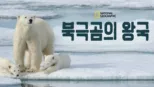 thumbnail - 북극곰의 왕국