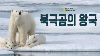 북극곰의 왕국