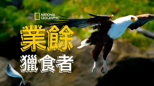 thumbnail - 業餘獵食者