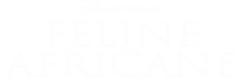 Feline africane