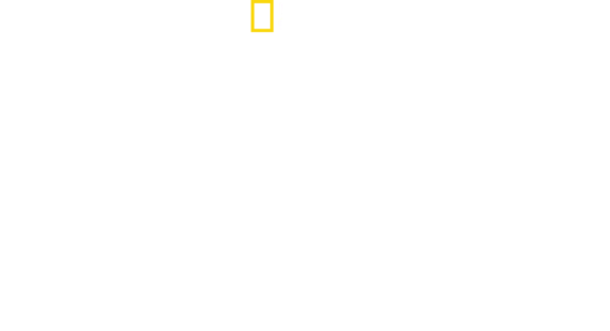 América do Sul: Animais Extraordinários