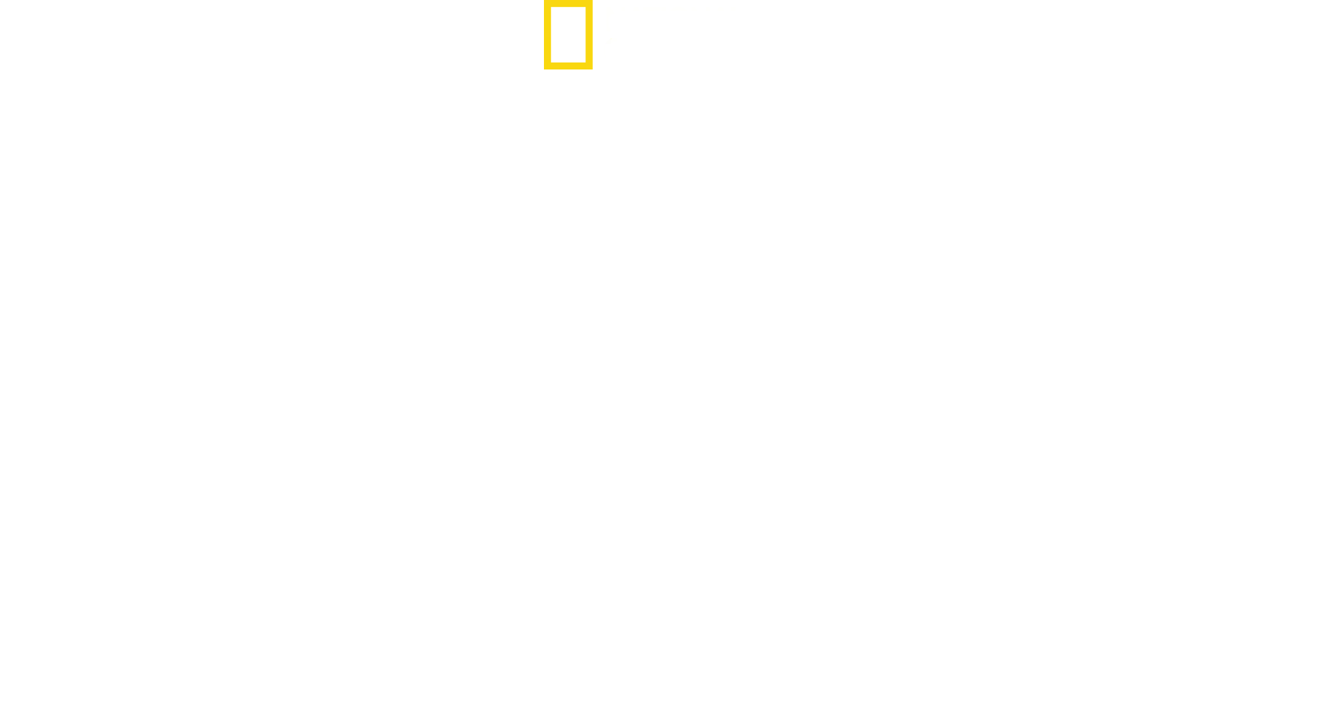América do Sul: Animais Extraordinários