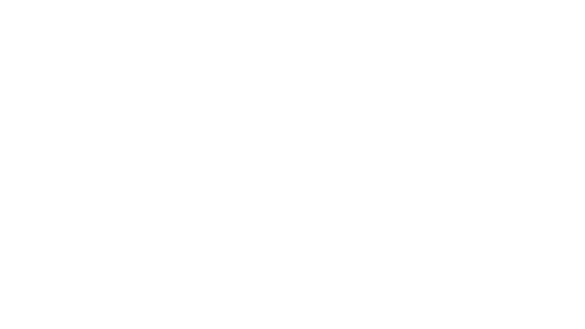 The Rookie