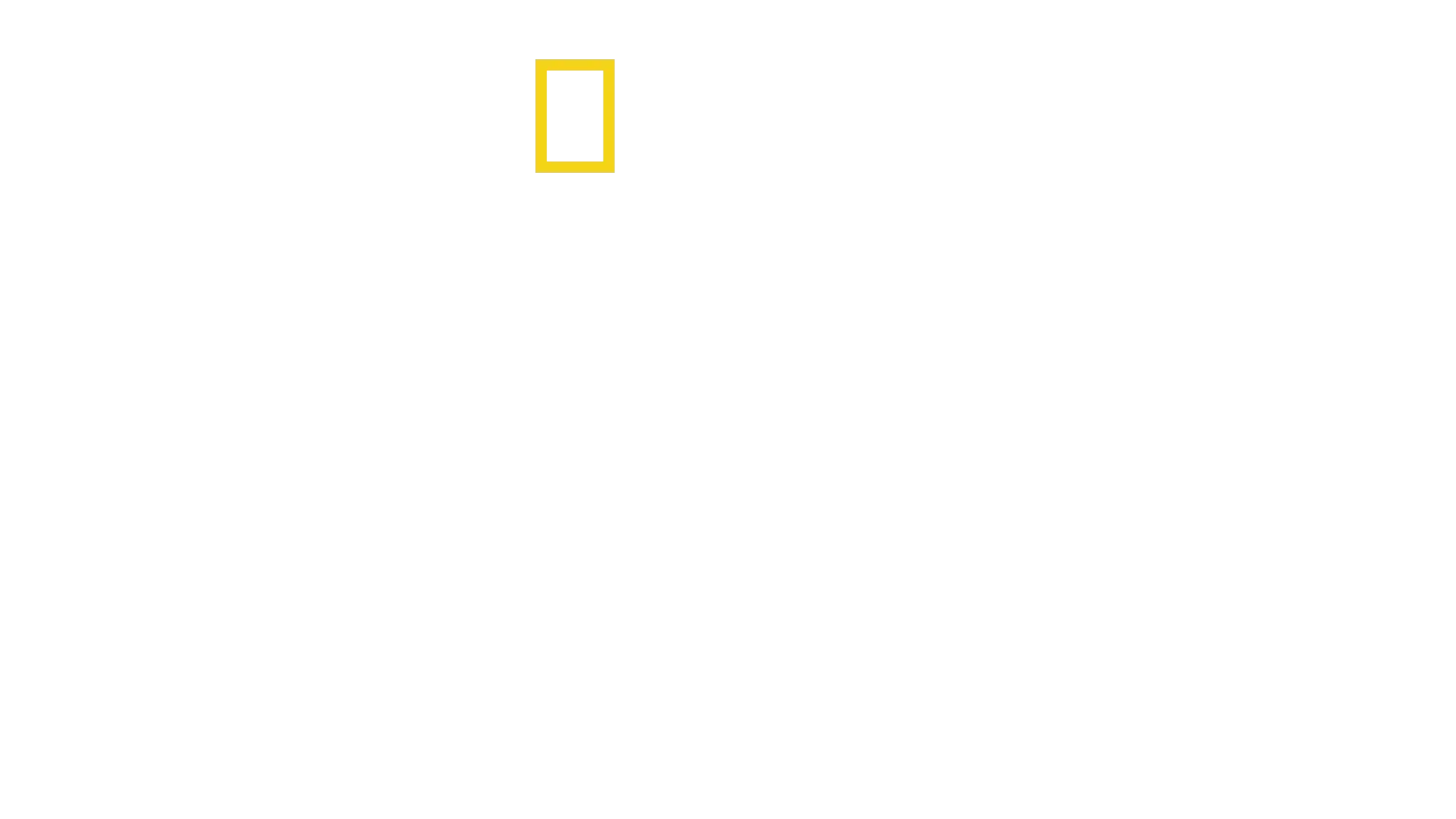 We Feed People: Um Chef Na Primeira Linha