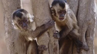 thumbnail - S2:E15 Unexpected Spectacles