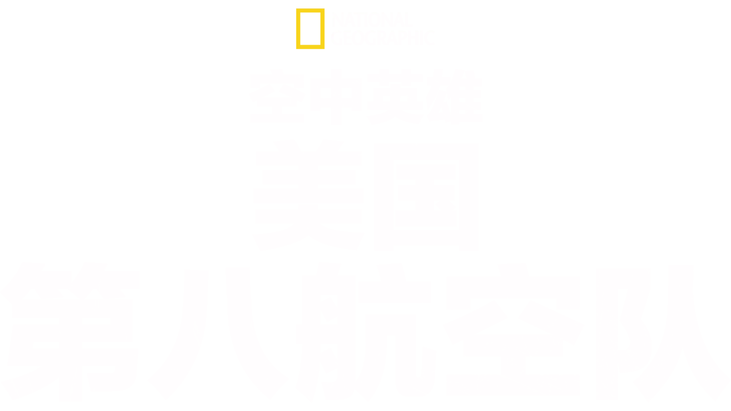 空中英雄: 美国第八航空队