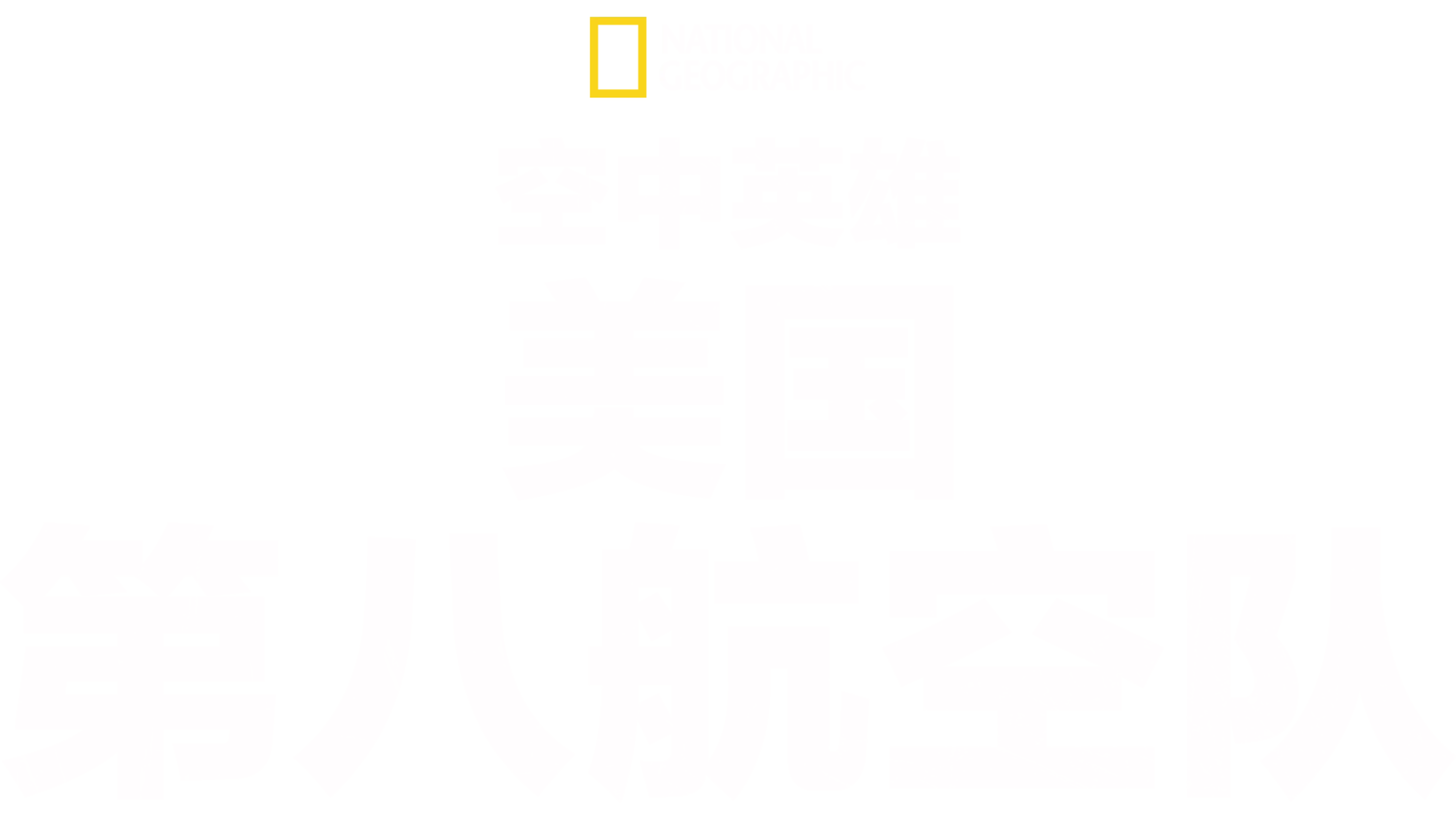 空中英雄: 美国第八航空队