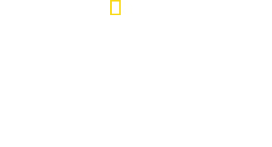 空中英雄: 美国第八航空队