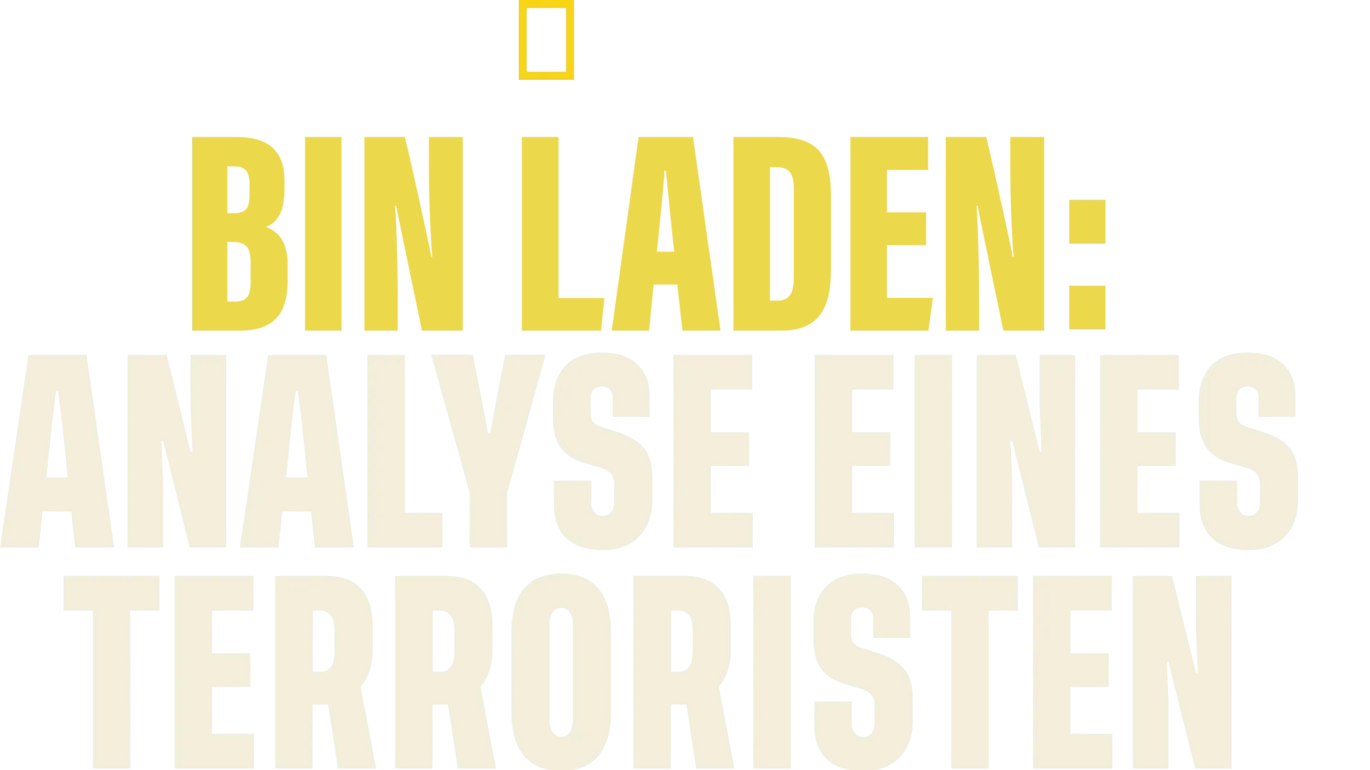 Bin Laden: Analyse eines Terroristen