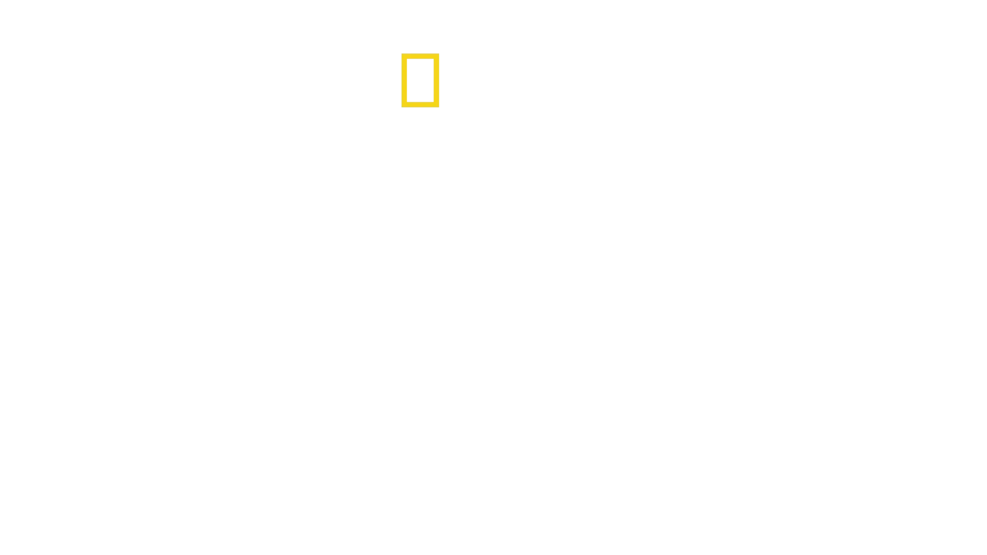 Bobi Wine: The People's President