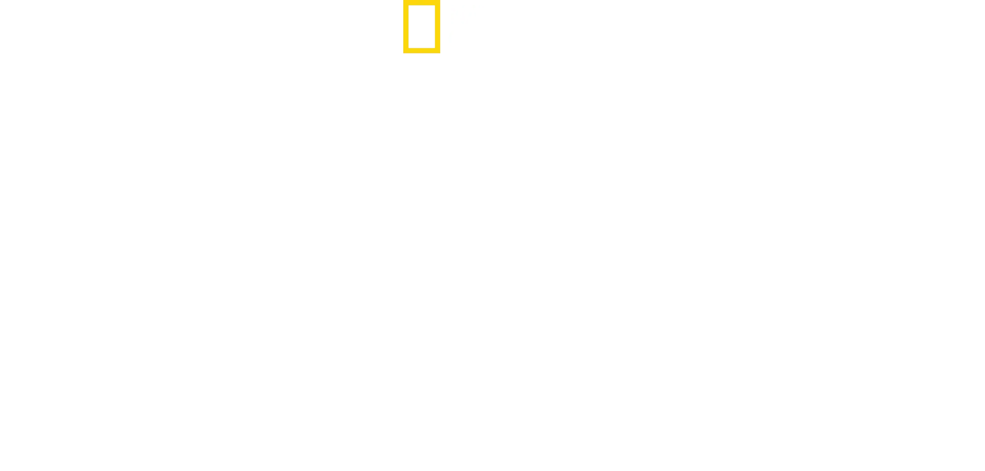 Altædende hajer