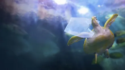 La Méditerranée : une mer de plastique