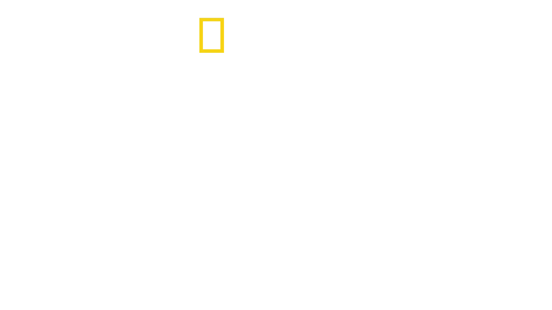 Krieg gegen Drogen
