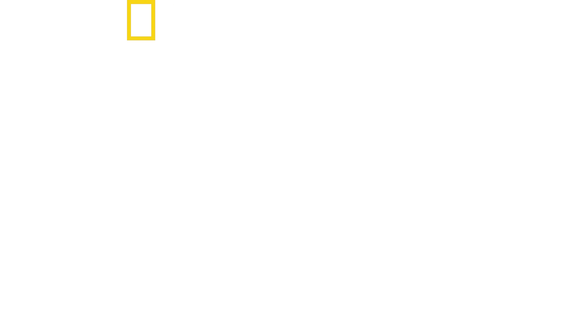 Fra Paris Til Pittsburgh