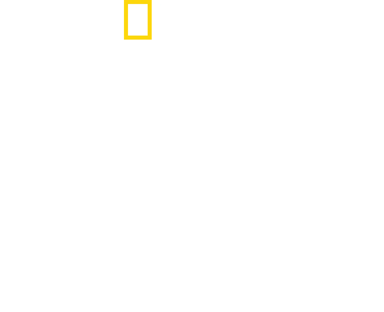 Fra Paris Til Pittsburgh