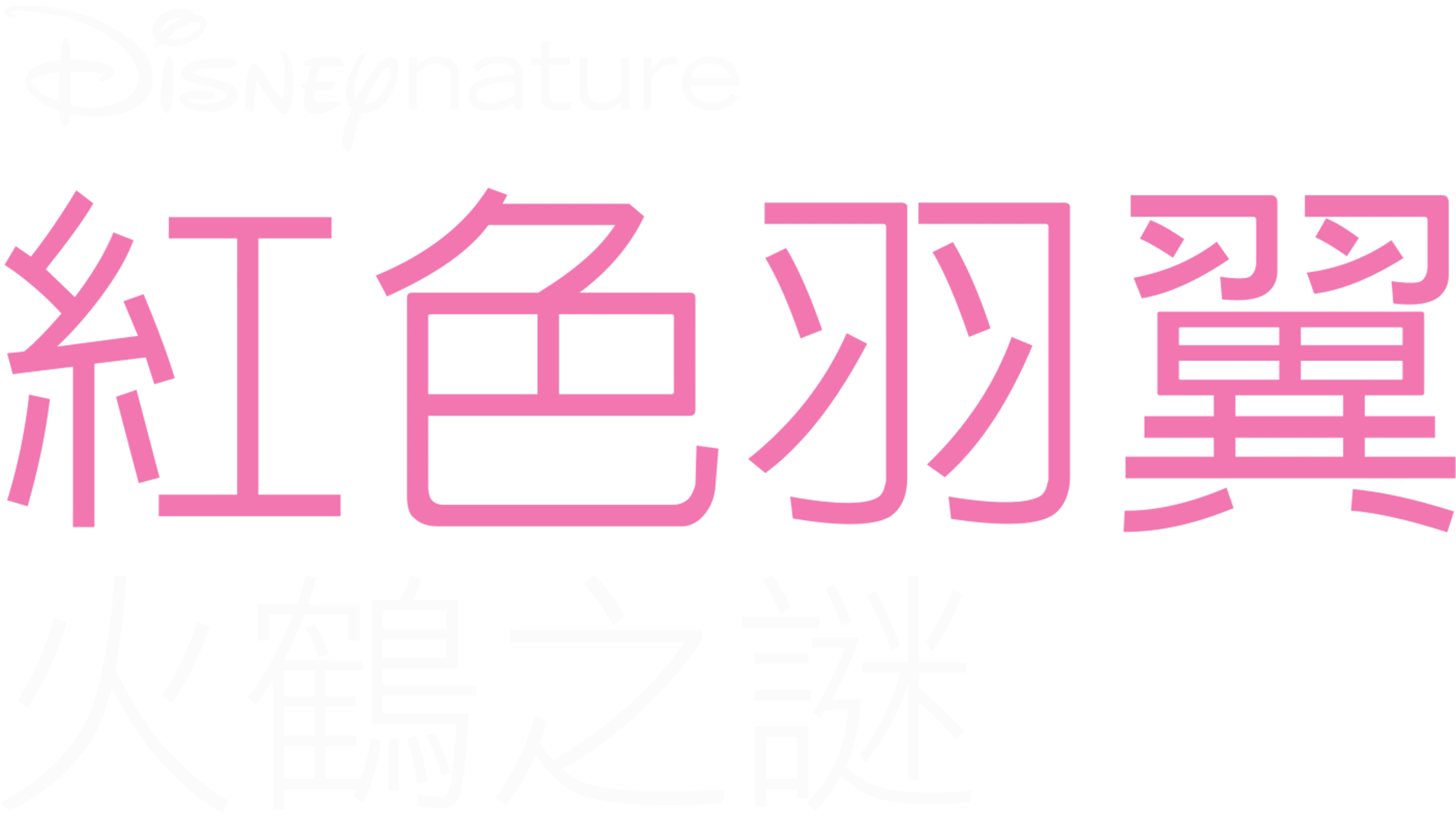 紅色羽翼：火鶴之謎