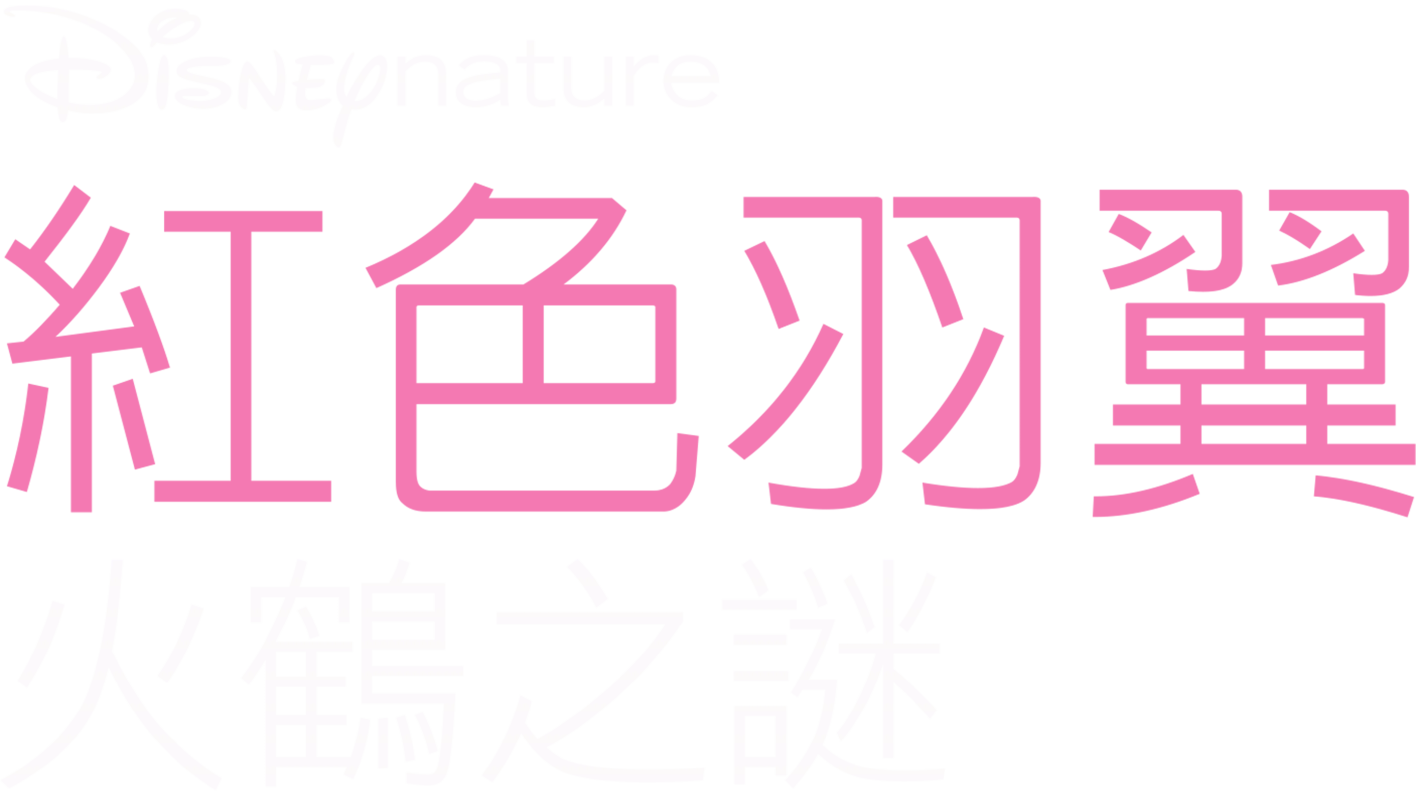 紅色羽翼：火鶴之謎