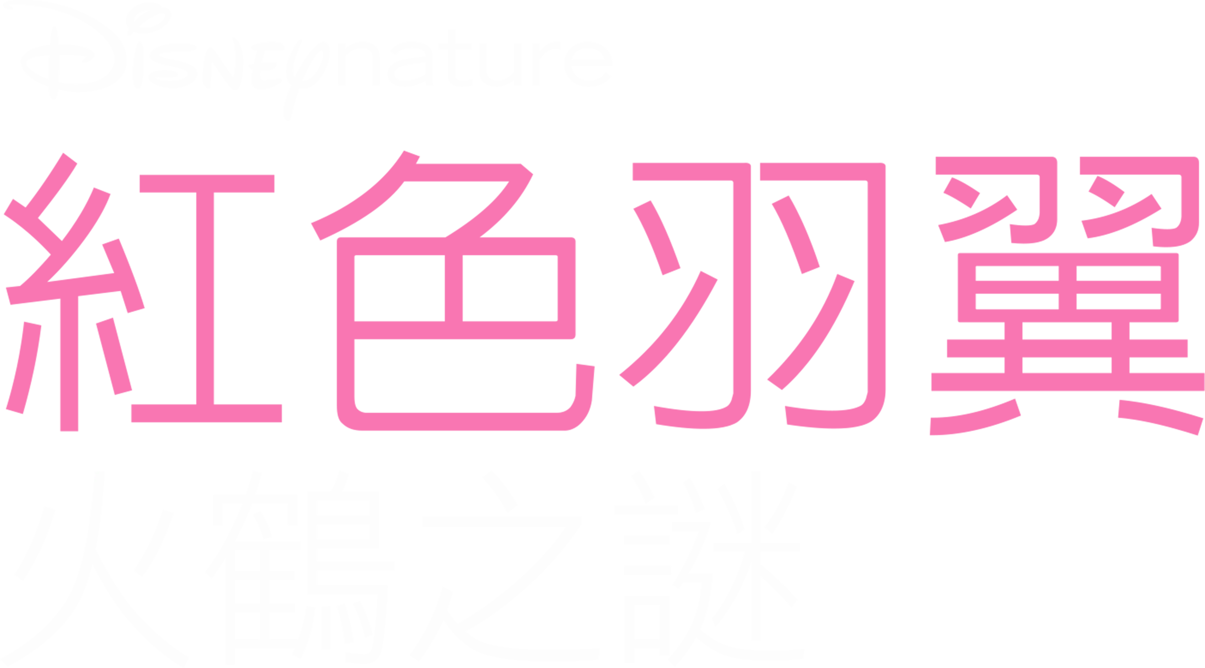紅色羽翼：火鶴之謎
