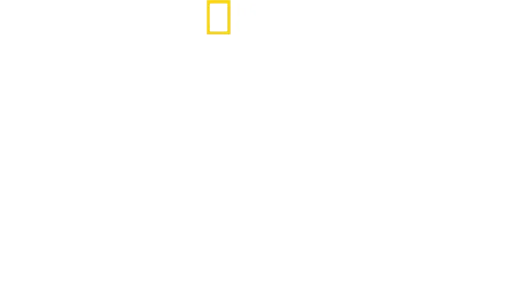 史丹利圖奇的義國美食秘境