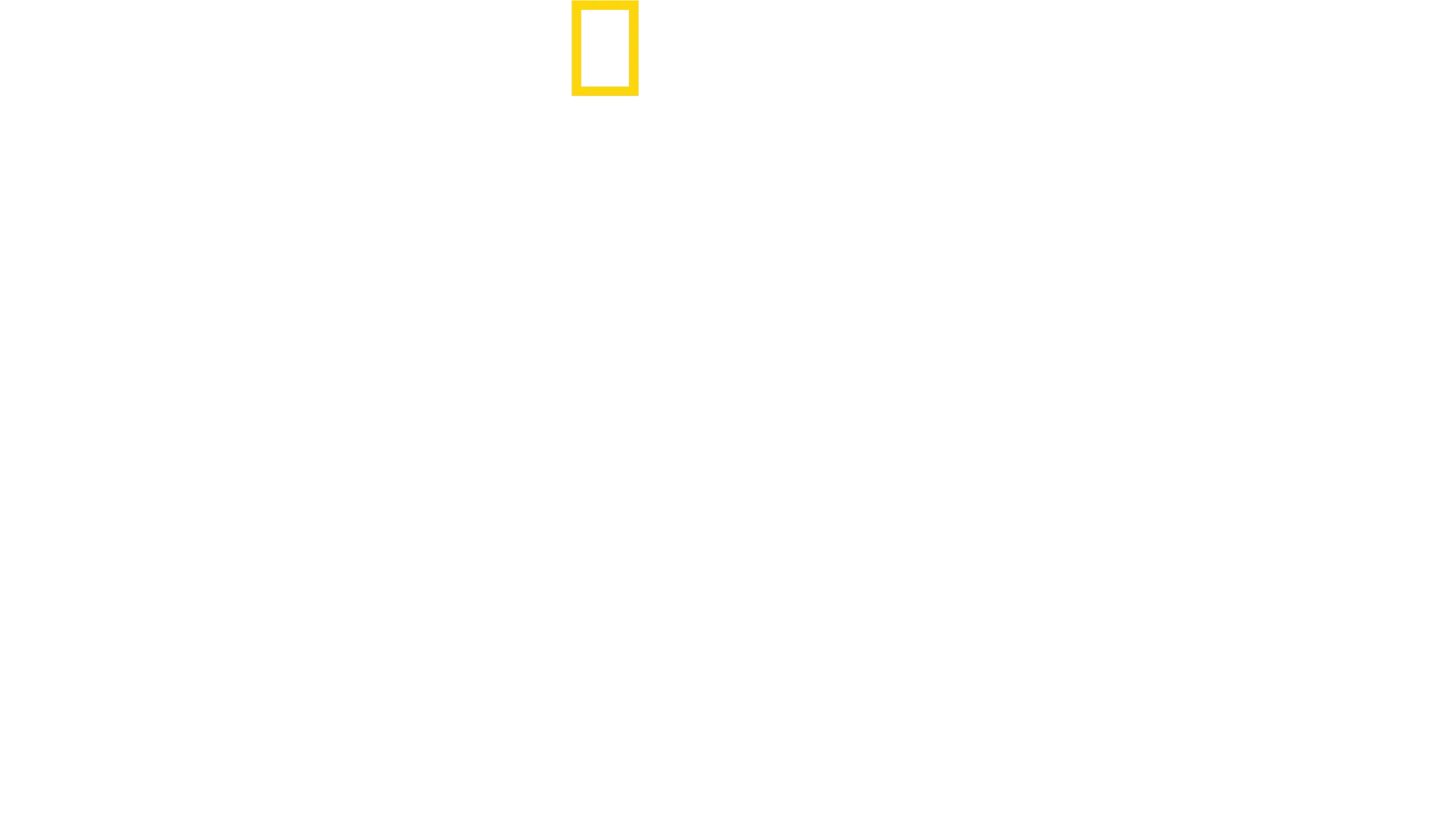 史丹利圖奇的義國美食秘境