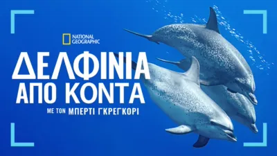 Δελφίνια από Κοντά, με τον Μπέρτι Γκρέγκορι