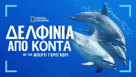 thumbnail - Δελφίνια από Κοντά, με τον Μπέρτι Γκρέγκορι