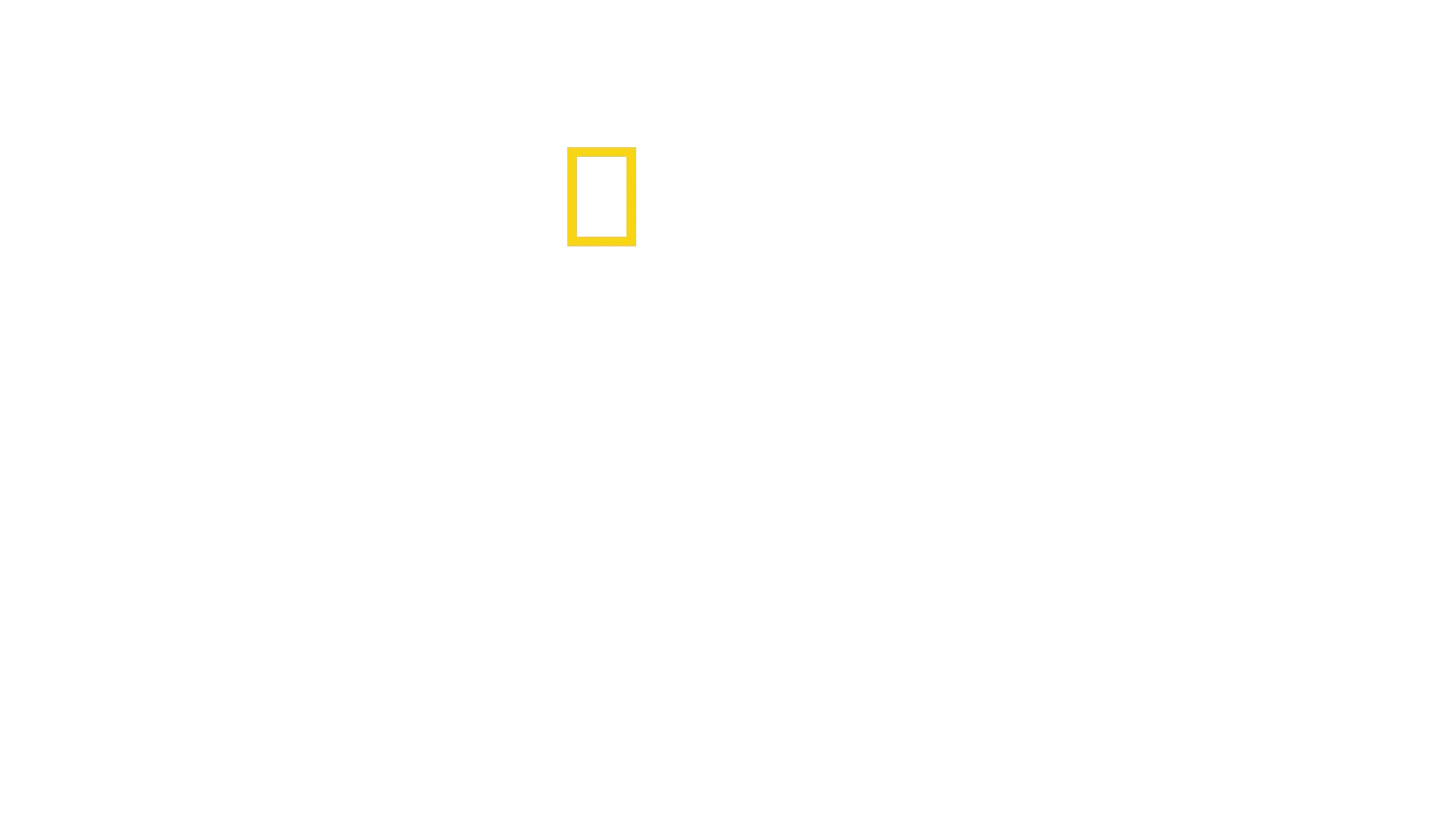 Origini: L'Odissea dell'Umanità