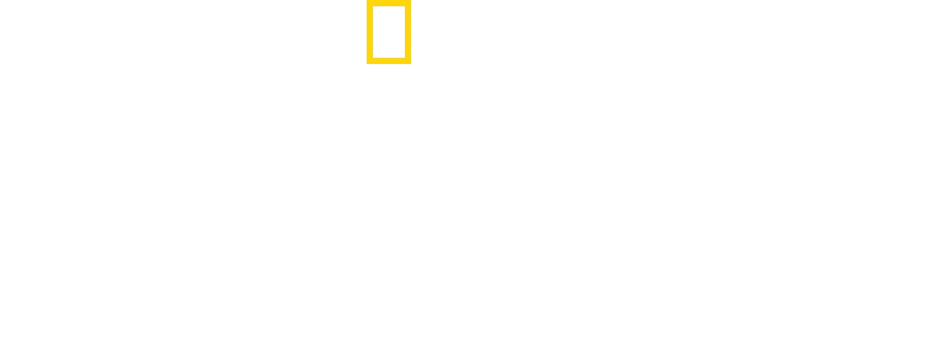 Origini: L'Odissea dell'Umanità