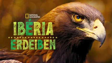 thumbnail - Ibéria Erdeiben