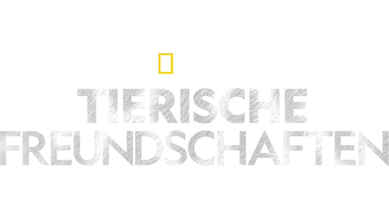 Tierische Freundschaften